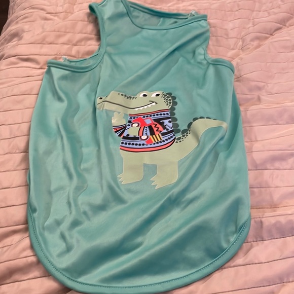 Green dinosaur 🦖 shirt dog xl my dog is 28 pounds it’s loose on him puppy - Picture 2 of 6